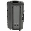 Citronic CD10 Speaker Cabinet 10" Passive - Image 2